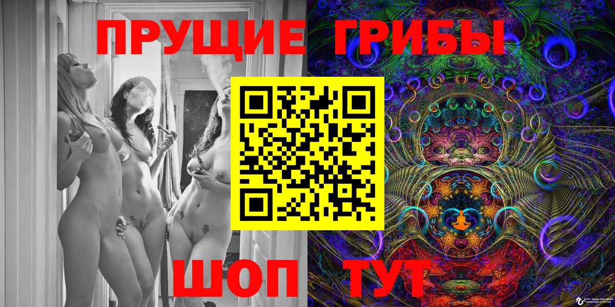 где можно купить наркотик  Псилоцибиновые грибы Cubensis  Вход с VPN  Кумертау 
